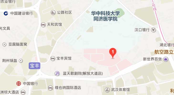 武汉市同济医院所在位置