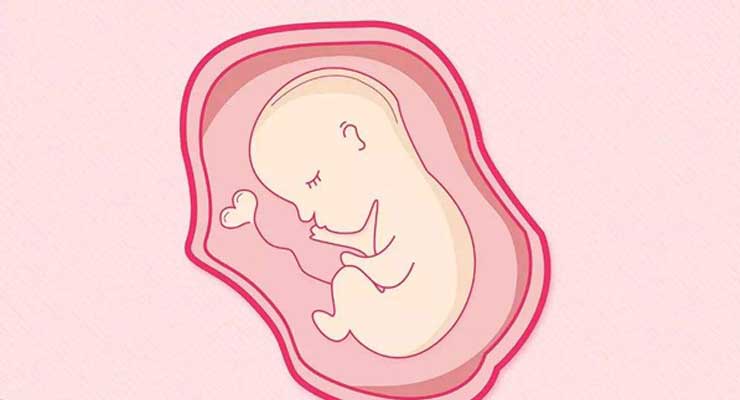 欧路尔试管帮提醒：试管婴儿成功移植后若不注意还有胎停可能