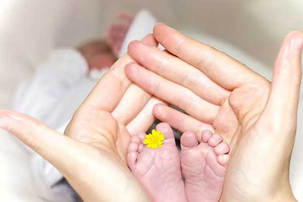 做借卵供卵代怀代生的生活比正常婴儿更健康，他们会更聪明吗？
