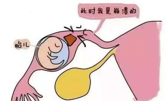 52岁未必不能代怀女孩价格婴儿,供卵或成唯一怀孕希望