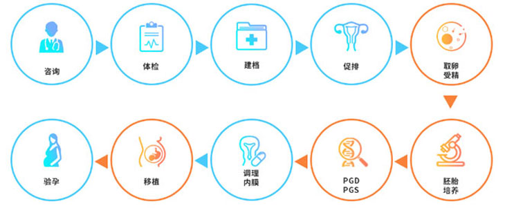 不支持借卵试管婴儿辩论赛