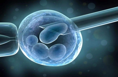 格鲁吉亚ReproArt诊所专家解释取卵对卵巢的伤害大吗？