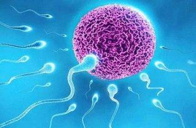 备孕试管婴儿知识_排卵期不排卵怎么办？